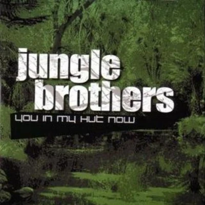 You in My Hut Now 专辑 Jungle Brothers/Aphrodite/DJ Shadow/DMC/Fatboy Slim