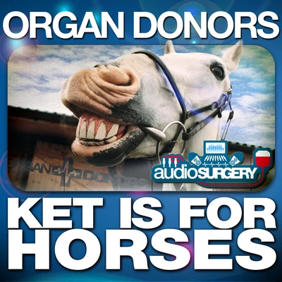 Organ Donors Ket Is for Horses