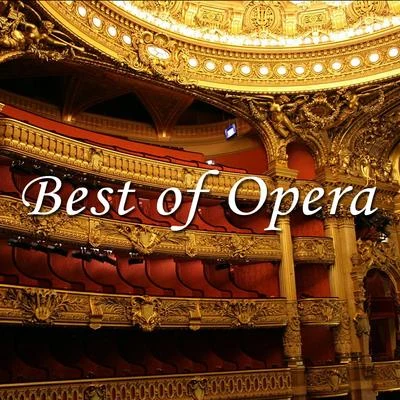 Best of Opera 专辑 Antonino Votto