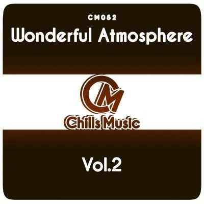 Wonderful Atmosphere Vol.2 专辑 DeepCosmo/Natune/Alisher/Dj SantiyaGO/Ilya Fly