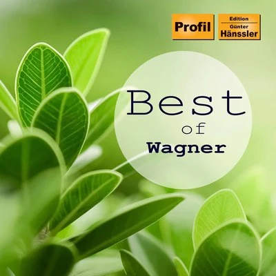 Best of Wagner 專輯 Wolfgang Windgassen/Martha Modl/Orchester Der Staatsoper Berlin/Artur Rother/Johanna Blatter