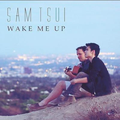 Wake Me Up (Acoustic Version) 專輯 Sam Tsui