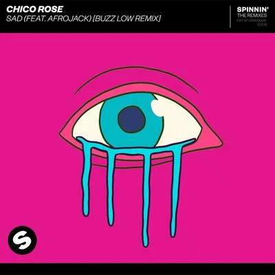 Sad (feat. Afrojack) [Buzz Low Remix] 專輯 Rudeejay/Chico Rose/Da Brozz