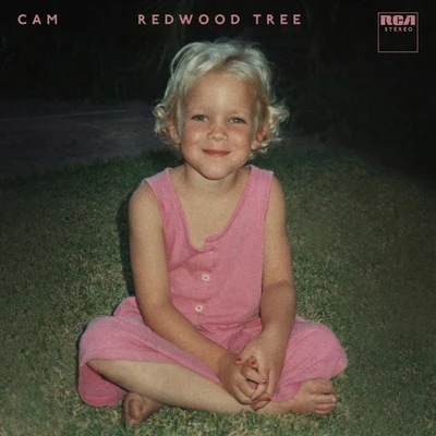 Redwood Tree 專輯 Cam