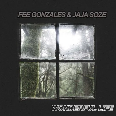 Wonderful Life 专辑 Fee Gonzales/Yung Fume