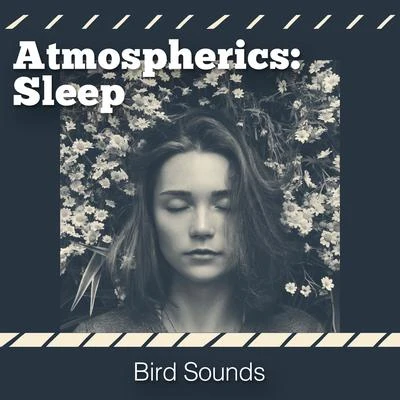 Atmospherics: Sleep 专辑 Bird Sounds/Zona Música Relaxante/Relaxing Rain Sounds