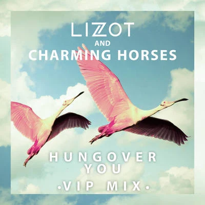 Hungover You (VIP Mix) 專輯 The Boy Next Door/Charming Horses/Felix Schorn