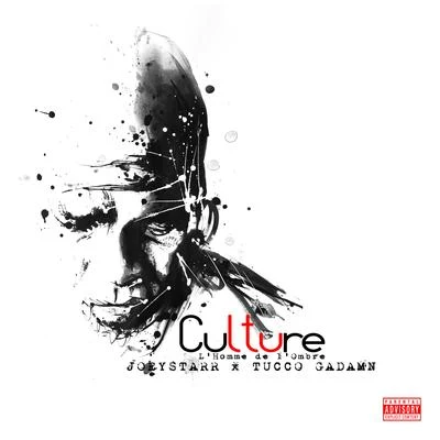 Culture 专辑 JoeyStarr