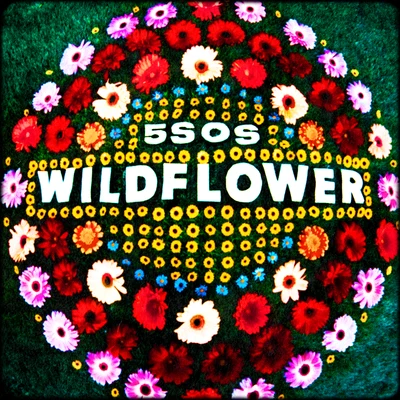 Wildflower 专辑 5 Seconds of Summer