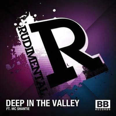 Deep In The Valley 专辑 Rüdimental/Ella Henderson