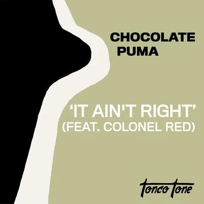 It Aint Right (feat. Colonel Red) 專輯 Gianluca Motta/Chocolate Puma/Jocelyn Brown/Todd Terry/Therese