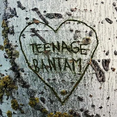 Teenage Bantam 專輯 Only/Sesentay6