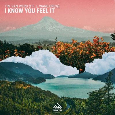 I Know you Feel It 專輯 Tim van Werd/Justin Strikes