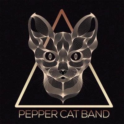 Pepper Cat Band 1 Year 专辑 Arcade 82/Anton Ishutin