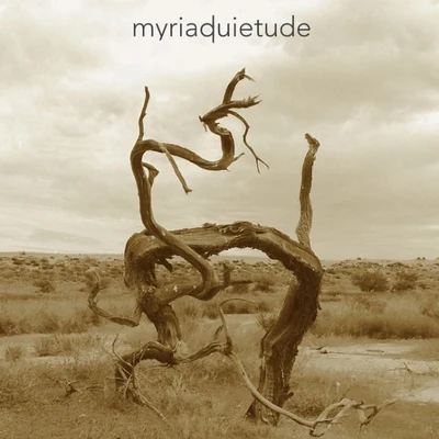 quietude 專輯 Myriad/Rudy Raw