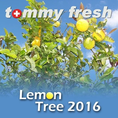 Tommy Fresh Lemon Tree