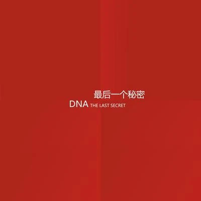 最後一個秘密 專輯 DNA/Luciano/Alex Gopher/Suba/Zuco 103