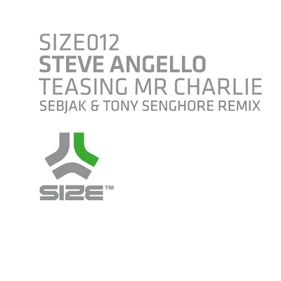 Teasing Mr Charlie (Sebjak & Tony Senghore Remix) 專輯 Steve Angello