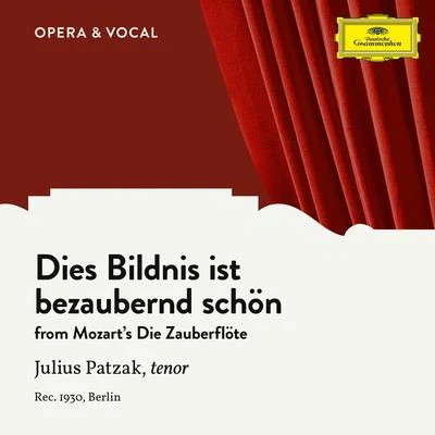 Mozart: Die Zauberflöte, K. 620: Dies Bildnis ist bezaubernd schön 專輯 Julius Patzak/Gitta Alpar/Hjordis Schymberg/Marcel Wittrisch/Richard Tauber