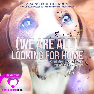 (We Are All) Looking for Home 专辑 Diane Warren/Desmond Child/Alice Cooper/A. Cooper/Joan Jett