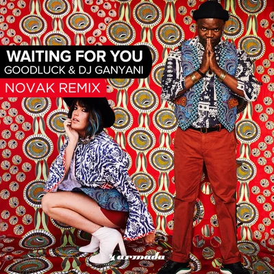 Waiting For You (Novak Remix) 专辑 Goodluck