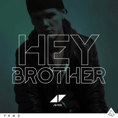 Avicii Hey Brother (Remixes)