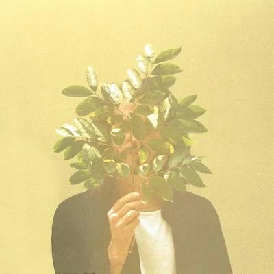 French Kiwi Juice 專輯 FKJ/Little Dragon