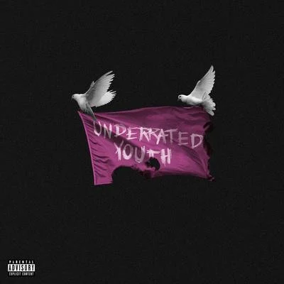 Hope For The Underrated Youth 专辑 Yungblud