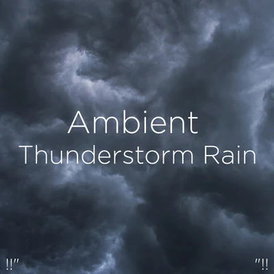 !!" Ambient Thunderstorm Rain "!! 專輯 Thunderstorm Sound Bank/Thunderstorm Sleep