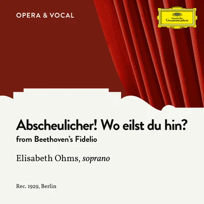 Beethoven: Fidelio, Op. 72: Abscheulicher! Wo eilst du hin? 專輯 Unknown Orchestra/Leonid Sobinov