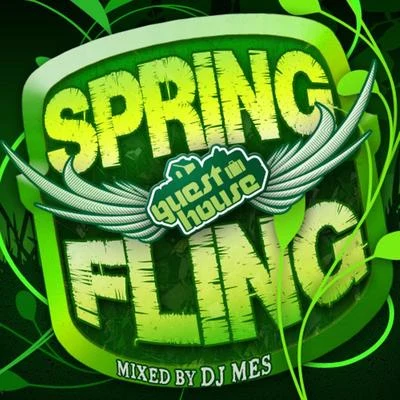 Spring Fling Mixed By DJ Mes 专辑 DJ Mes