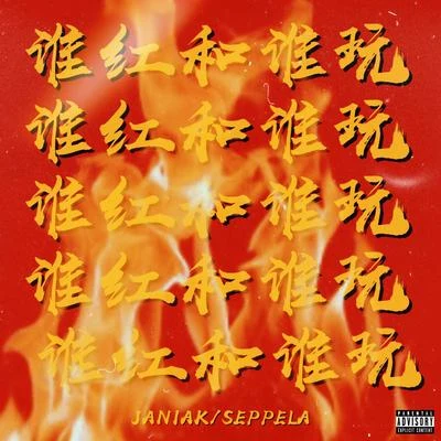 誰紅和誰玩 專輯 Seppela