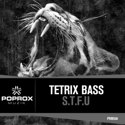 S.T.F.U 專輯 Tetrix Bass