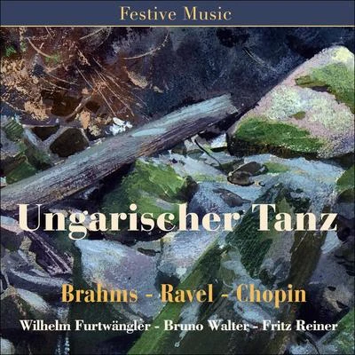 Ungarischer Tanz 專輯 Wilhelm Furtwängler/Yehudi Menuhin/Franz Schubert/Luciano Pavarotti/André Bénichou