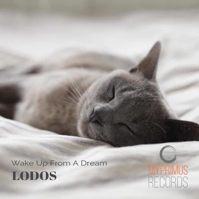 Lodos Wake Up From a Dream