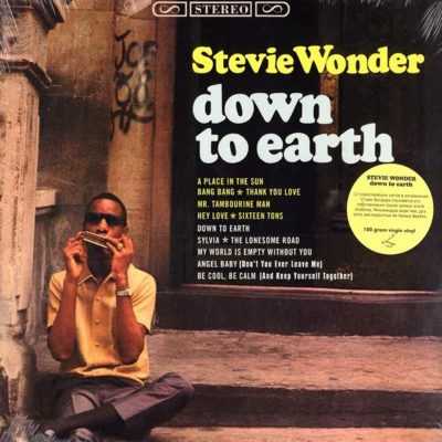 Stevie Wonder Down to Earth