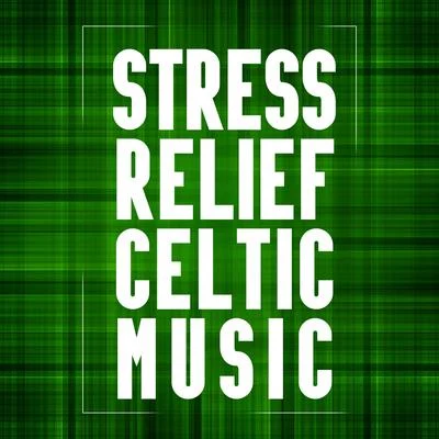 Stress Relief Celtic Music: Calming Melodies, Mesmerizing Sounds of Water and Birds, Irish Instrumental Music 专辑 Irish Celtic Music