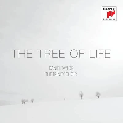 The Tree of Life 專輯 Daniel Taylor/Robert Eisentrout/Steven Bradshaw/Nathaniel Barnett/Karen Blanchard