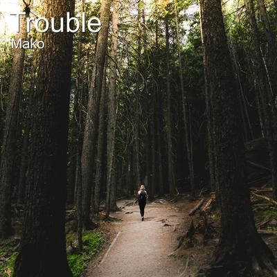 Trouble 专辑 Robert Feltrer/MAKO/Steve Angello