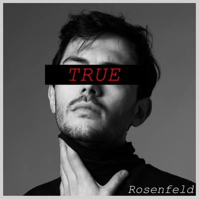 True 專輯 EST/RYI/Rosenfeld/Bodhi Jones/ALsic