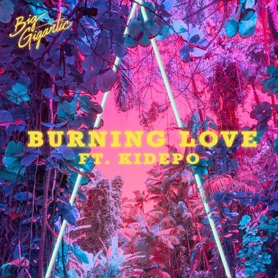 Burning Love 專輯 Big Gigantic