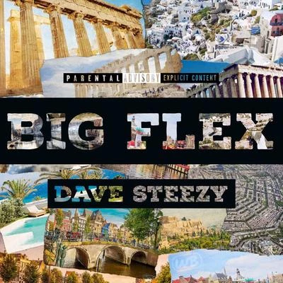 Big Flex 專輯 Dave Steezy/Marty Grimes