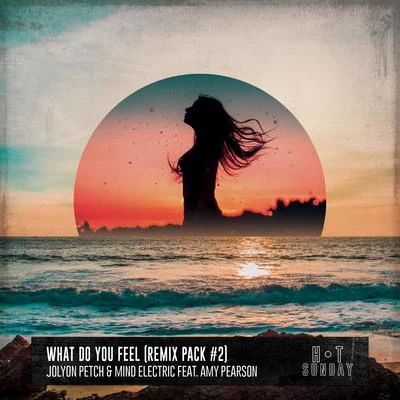 What Do You Feel (feat. Amy Pearson) [Remix Pack #2] 專輯 Jolyon Petch