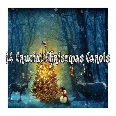 14 Crucial Christmas Carols 專輯 Christmas Songs/The Merry Christmas Players/Christmas Favourites