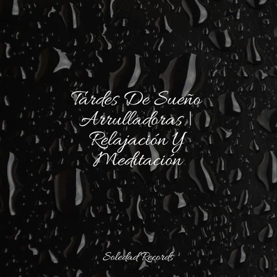 Dormir e MeditarMaestros de música de la meditaciónMusica Relajante Specialistas Tardes De Sueño Arrulladoras | Relajación Y Meditación