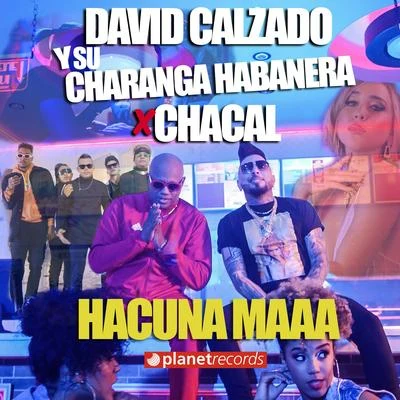 Hakuna Matata 專輯 David calzado y su Charanga Habanera/Mola/LAYLA/Descemer Bueno/Maykel Blanco Y Su Salsa Mayor