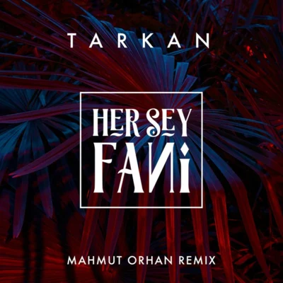 Her Şey Fani (Mahmut Orhan Remix) 专辑 Aytac Kart/Mahmut Orhan