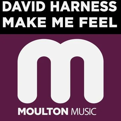 Make Me Feel 專輯 David Harness/TC Moses/Shaun Escoffery/Ray J/Haldo