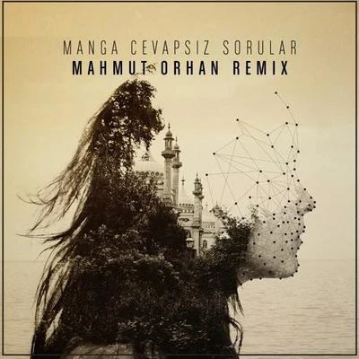 Cevapsiz Sorular (Mahmut Orhan Remix) 专辑 Aytac Kart/Mahmut Orhan