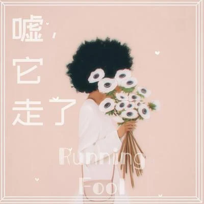 嘘，它走了 专辑 跑蠢Running Fool